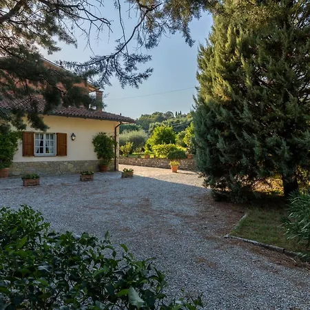 Mimosa Villa