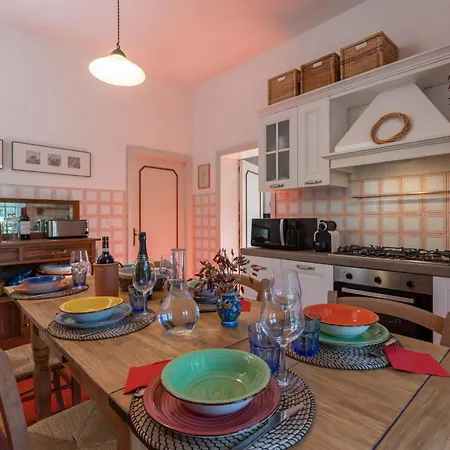 Mimosa Villa Cortona