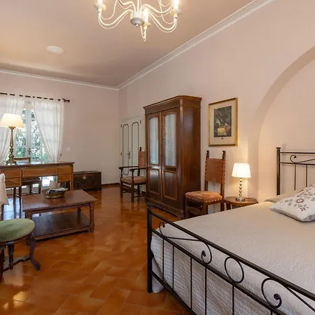 Mimosa * Κορτόνα