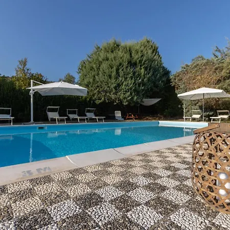 Mimosa Κορτόνα