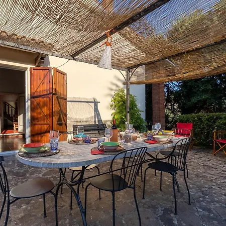 Mimosa Κορτόνα