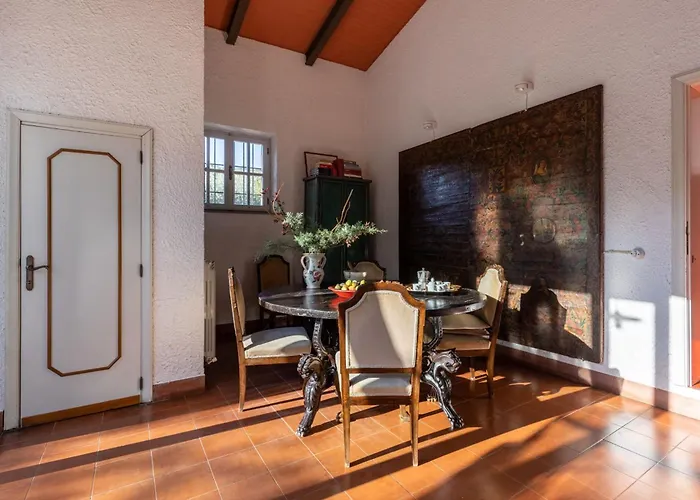 Mimosa * 코르토나